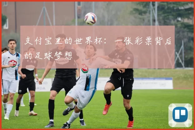 支付宝里的世界杯：一张彩票背后的足球梦想
