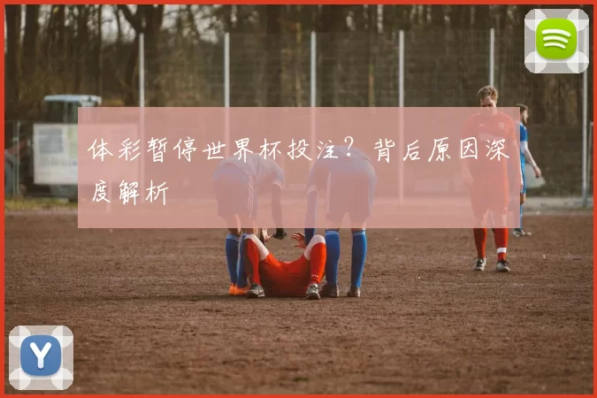 体彩暂停世界杯投注？背后原因深度解析