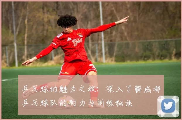 乒乓球的魅力之旅：深入了解成都乒乓球队的耐力与训练秘诀