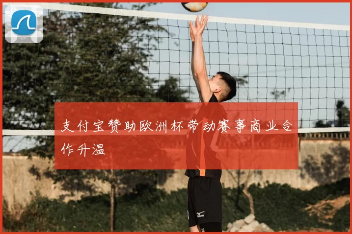 支付宝赞助欧洲杯带动赛事商业合作升温