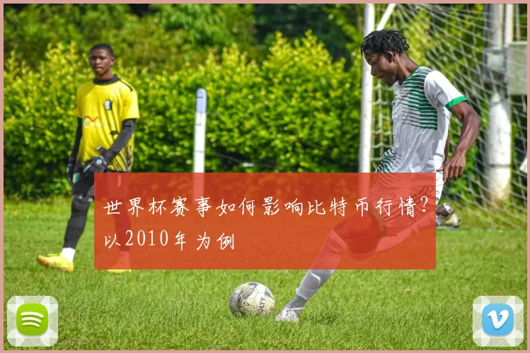 世界杯赛事如何影响比特币行情?以2010年为例