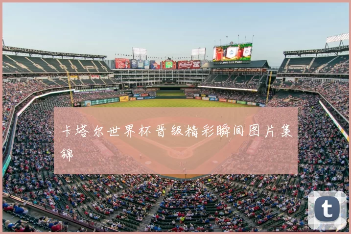 卡塔尔世界杯晋级精彩瞬间图片集锦