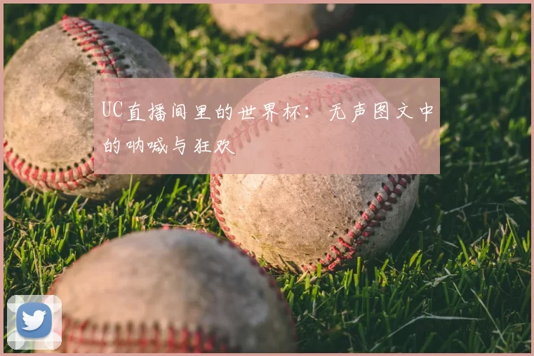 UC直播间里的世界杯:无声图文中的呐喊与狂欢