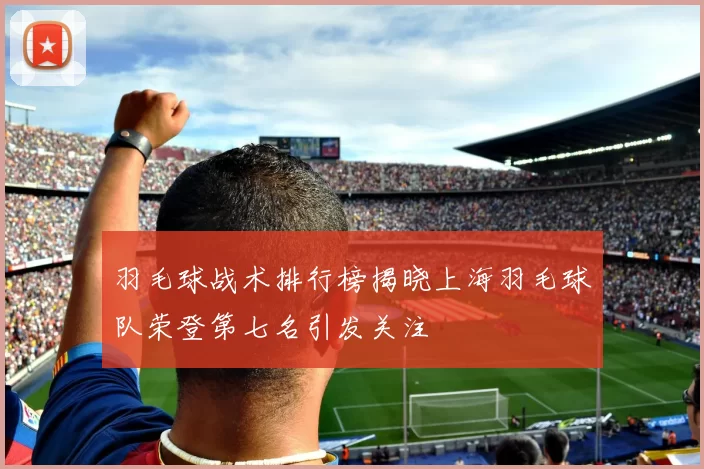 羽毛球战术排行榜揭晓上海羽毛球队荣登第七名引发关注