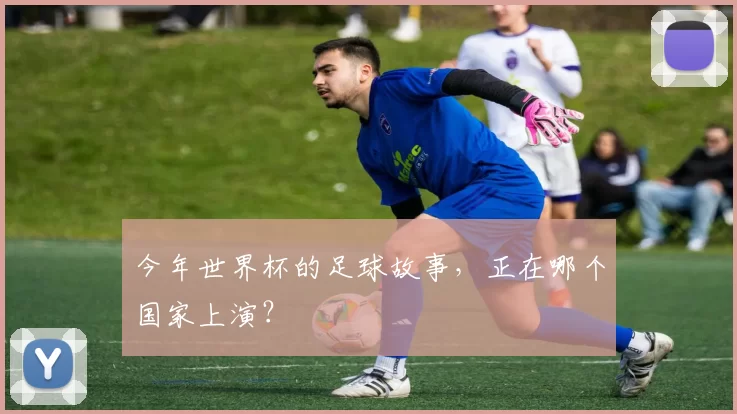 今年世界杯的足球故事，正在哪个国家上演？