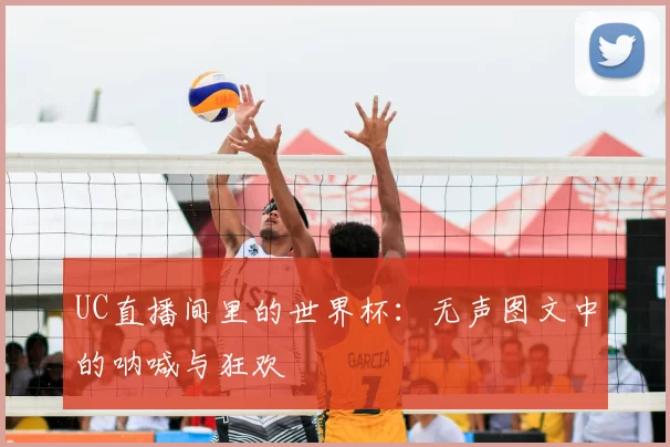 UC直播间里的世界杯:无声图文中的呐喊与狂欢
