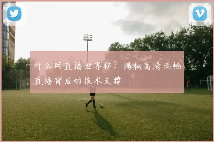什么网直播世界杯？揭秘高清流畅直播背后的技术支撑