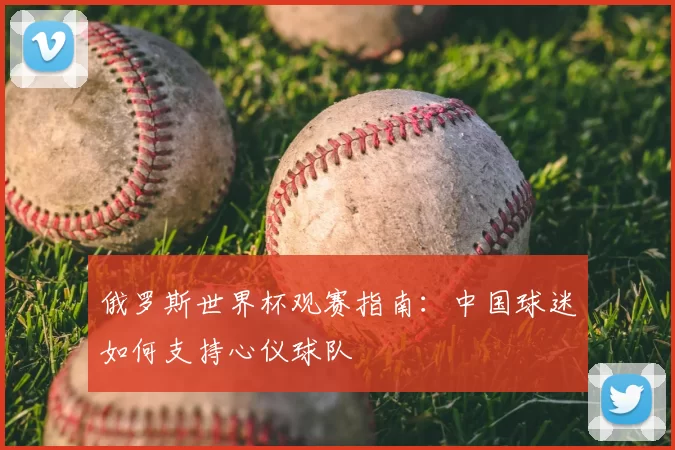俄罗斯世界杯观赛指南：中国球迷如何支持心仪球队