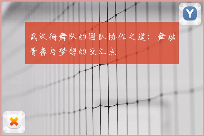 武汉街舞队的团队协作之道：舞动青春与梦想的交汇点