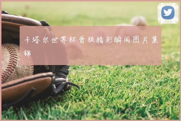 卡塔尔世界杯晋级精彩瞬间图片集锦