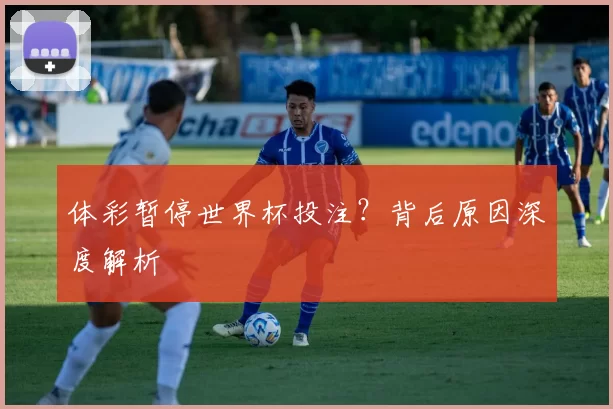 体彩暂停世界杯投注？背后原因深度解析
