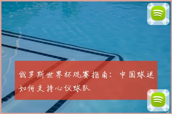 俄罗斯世界杯观赛指南：中国球迷如何支持心仪球队