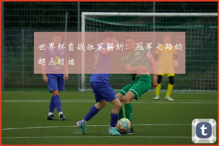 世界杯首战独家解析：冠军之路的起点对话