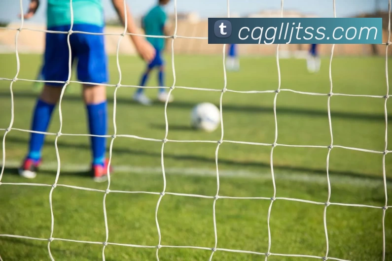 雅博app发展历程